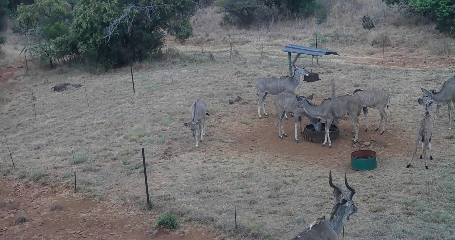 5 Bedroom Property for Sale in Swartruggens North West